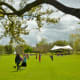 Enjoying the Lawn spaces
