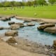 Pretty water feature