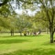 Lawn spaces in the park