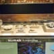 Many fossils at HMNS Sugar Land