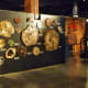 Petrified wood examples