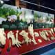 Skulls of different animals displayed