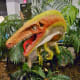 Coelophsis – Triassic Carnivorous Dinosaur 210 million years ago