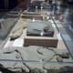 Many fossils