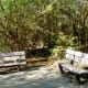 Theis Attaway Nature Center
