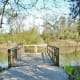 Walkout pier overlooking the pond at the Theis Attaway Nature Center