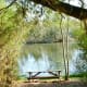 Picnic table near pond