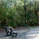 Nature Trail