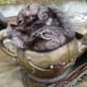 Closeup of the Dormouse on the Wonderland Sculpture