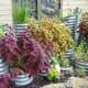 Ben’s Antique Gardening