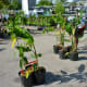 Many potted trees at the Eastside Farmer’s Market