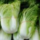 Good looking produce