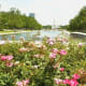 Hermann Park