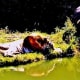 Houston zoo photo