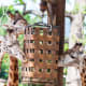 Giraffes feeding at Houston Zoo