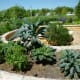 View of Raised Garden Beds
