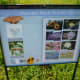 Mandell Prairie Garden Wildflowers Sign