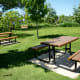 Picnic Tables in Mandell Park