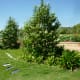 Mandell Park