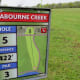 Disc Golf