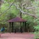 Bird sanctuary area of the park