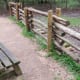 Bird sanctuary area of the park