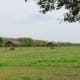 Several covered picnic spots