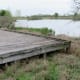 Raised wooden walkway in the wetlands area