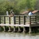 Fishing pier at Seabourne Lake