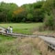 Raised wooden walkway in the wetlands area
