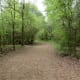 Bird sanctuary area of the park