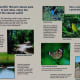 seabourne-creek-nature-park-peaceful-haven-in-rosenberg-tx