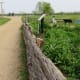 Butterfly garden on the right