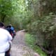 Miniature Train Ride