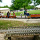 The train ride in the park