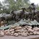Texas Legacy Sculpture