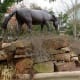 Detail View of "Wild and Free" Sculpture