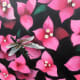 Closeup of Mini Mural by w3r3on3