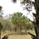 Paseo Park scenery