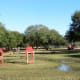 Dog agility course in both sections of Congressman Bill Archer Park
