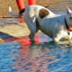 Having fun in Congressman Bill Archer Park