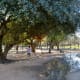 Visiting Congressman Bill Archer Park after a rainy day.