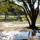 Visiting Congressman Bill Archer Park after a rainy day.