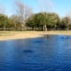 Bone-shaped pond in the small dog section of Congressman Bill Archer Park
