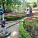 Butterfly shaped garden