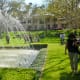 Fountain and backyard