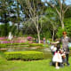 Beautiful landscaping