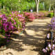 Walkway through the gardens