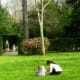 Lawn area