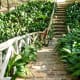 Walkway in the gardens